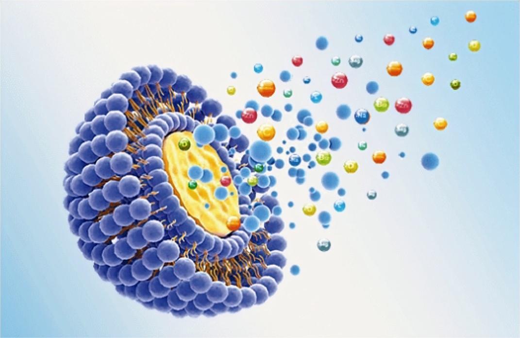 标题名称 (1).jpg