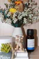 白及多糖胶 / BioloGel R