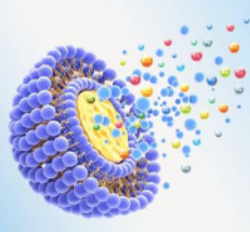 BioloCabin® ME
