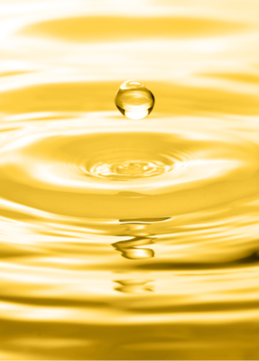 藻源焕活DHA油Bioloalgae® DHA