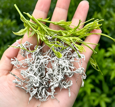 龙须莓 Bioloreclaim® AG